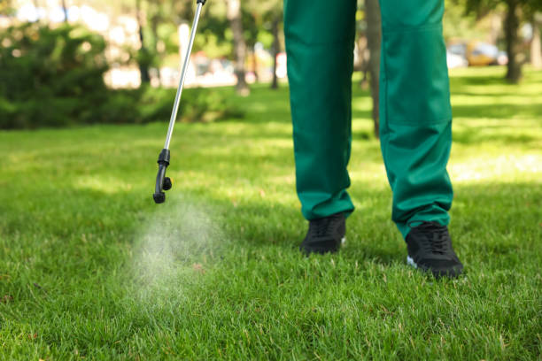 Best Pest Inspection Near Me  in Perezville, TX