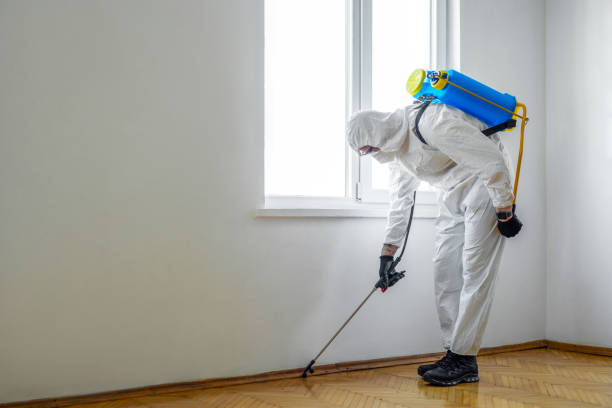 Best Wildlife Control Services  in Perezville, TX