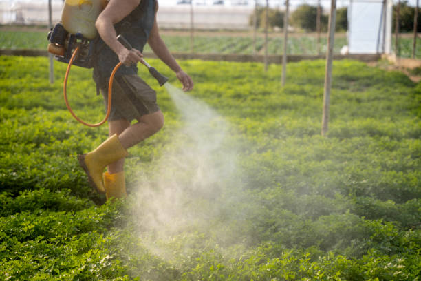 Best Pest Prevention Services  in Perezville, TX