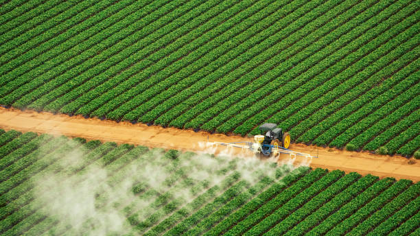 Best Pest Control Near Me  in Perezville, TX