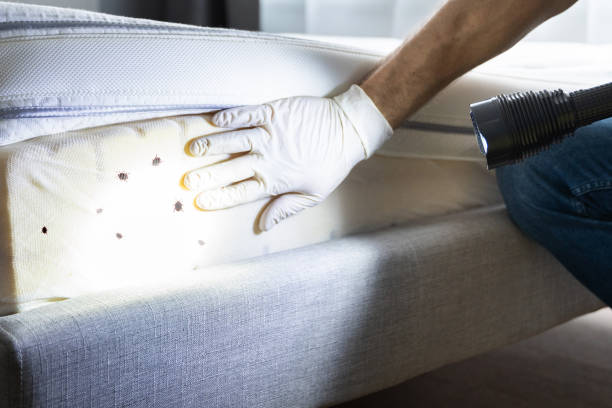Best Commercial Pest Control Services  in Perezville, TX