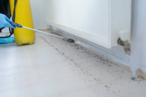 Pest Control for Restaurants in Perezville, TX