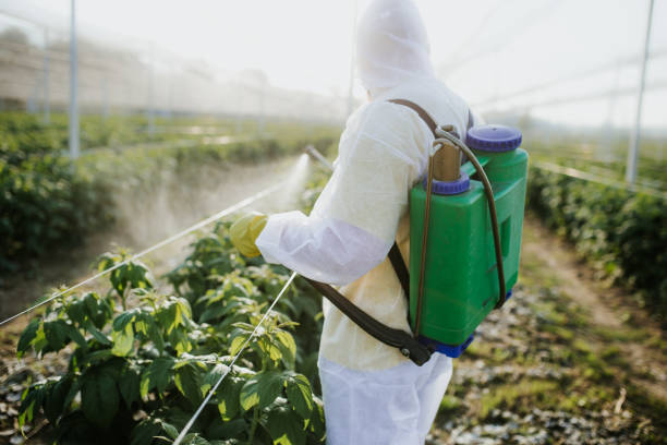 Best Pest Control for Restaurants  in Perezville, TX
